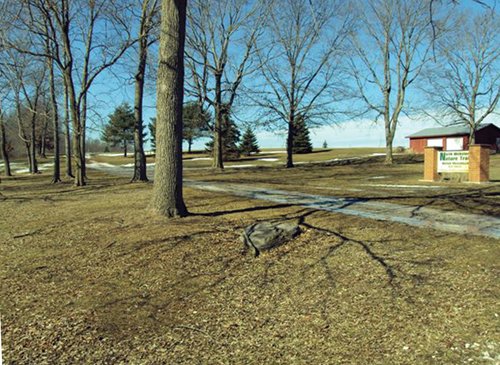 Property photo 6 - 66 Acres Offered in 3 Tracts